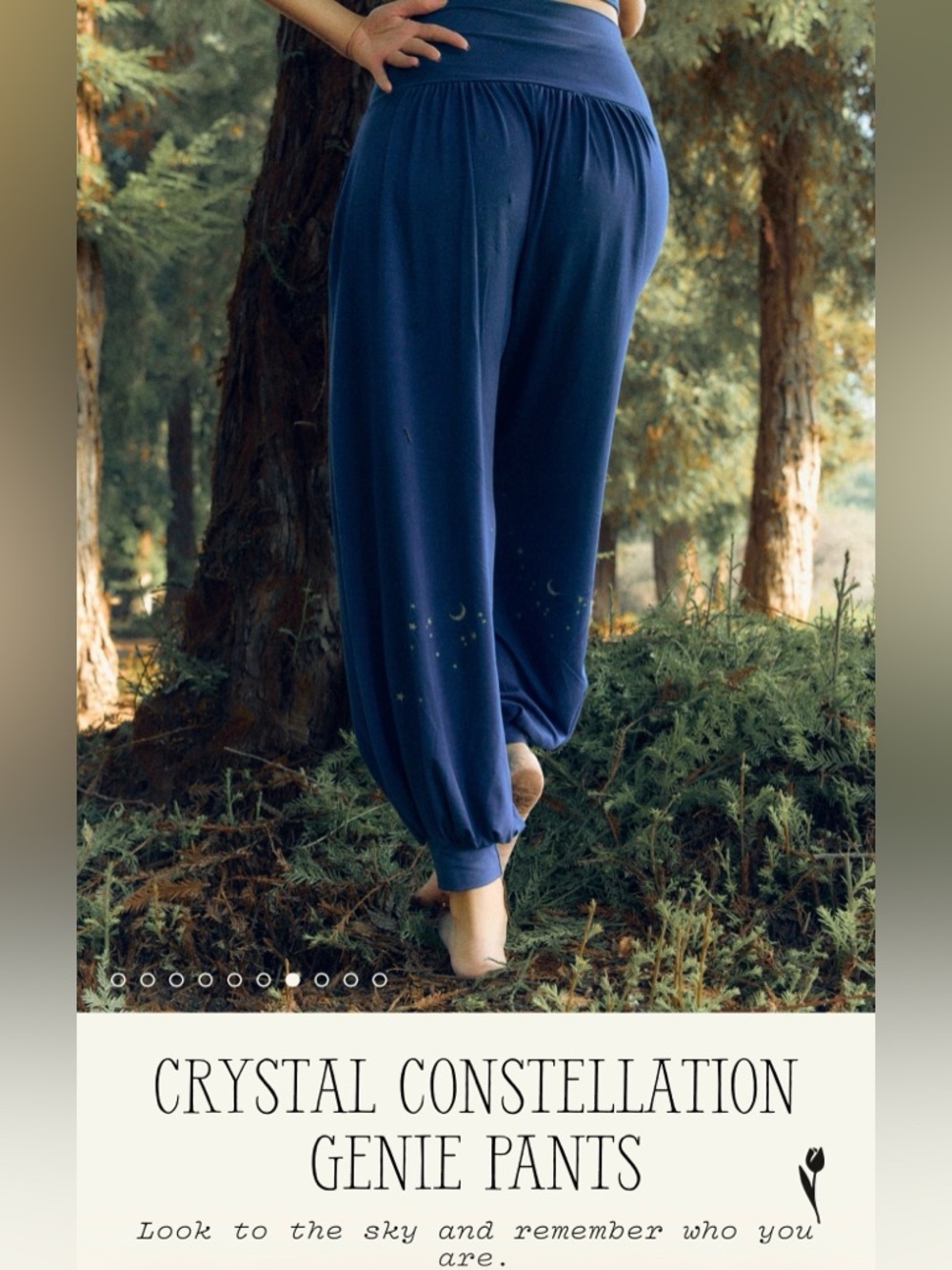 Purusha People NIB Constellation Genie pants